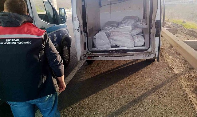 Tekirdağ'da 400 kilo menşei belirsiz kokoreç imha edildi