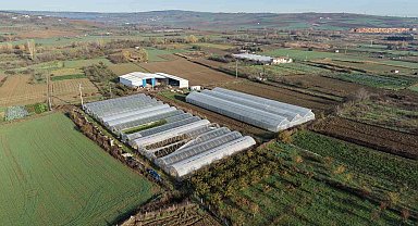 Tekirdağ'da 70 futbol sahası büyüklüğünde sera naylonu dağıtıldı