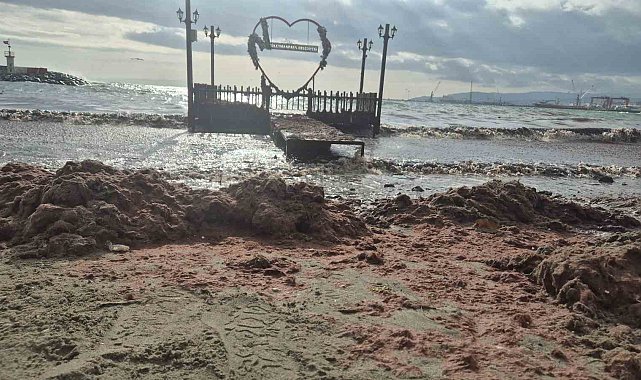 Tekirdağ'da lodos kıyıyı vurdu, kızıl yosunlar sahili kapladı