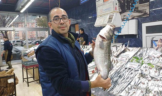 Tezgahlarda palamut yok, hamsi çok