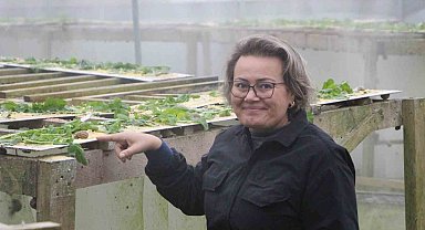 Trabzon'dan dünyaya 'Googlis'