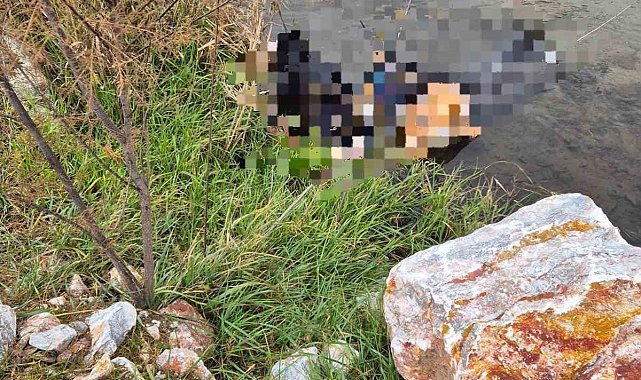 Trenin geçtiği köprüde hayatını kaybetti