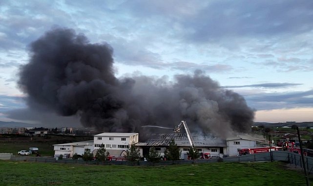 Tuzla'da kauçuk fabrikasında korkutan yangın