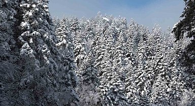 Uludağ'da göz gözü görmüyor