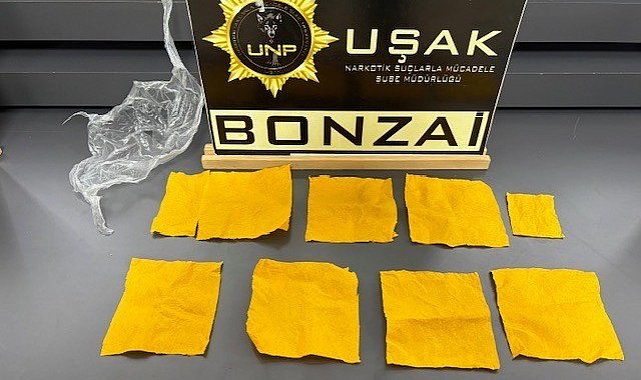 Uşak'ta çok sayıda uyuşturucu madde ele geçirildi
