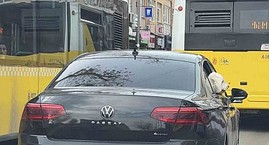 Üsküdar'da yeni başkan eski başkanın makam aracını köpeğine tahsis etti iddiası