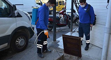 Vektörel mücadele çalışmaları devam ediyor