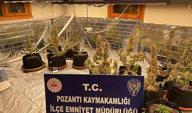 Villada uyuşturucu yetiştirmişler: Torbacı 'sevgililer' yakalandı, 4 kilo uyuşturucu ele geçirildi