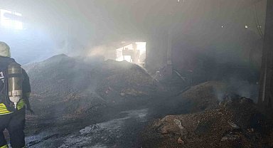 Vize'de palet fabrikasının deposunda yangın