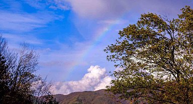 Yağıştan sonra gökyüzünde gökkuşağı oluştu