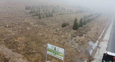 Yahyalı'ya bin 200 fidan dikildi