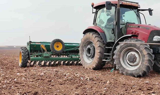 Yıldız Tarım, Mardin'de yerli tohum üretimini güçlendirip ihracatta hedef büyütüyor