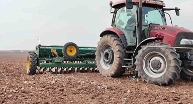 Yıldız Tarım, Mardin'de yerli tohum üretimini güçlendirip ihracatta hedef büyütüyor