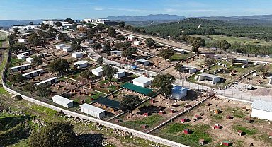 Yunusemre'de sokak hayvanları için örnek yaşam merkezi