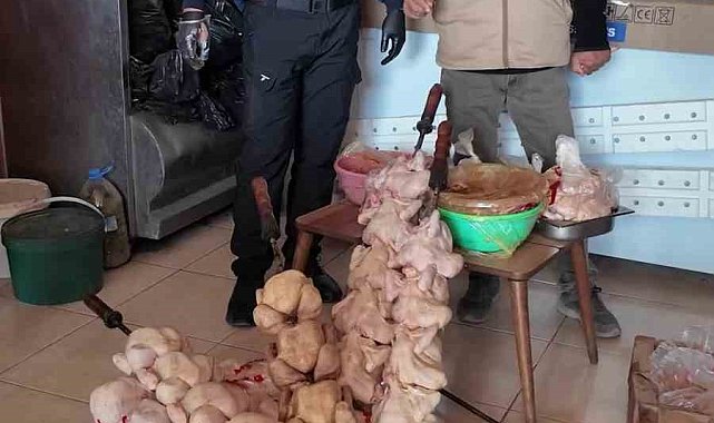 Zabıta ekiplerinin 'Leş kokusu var' dediği dönercide mide bulandıran görüntü