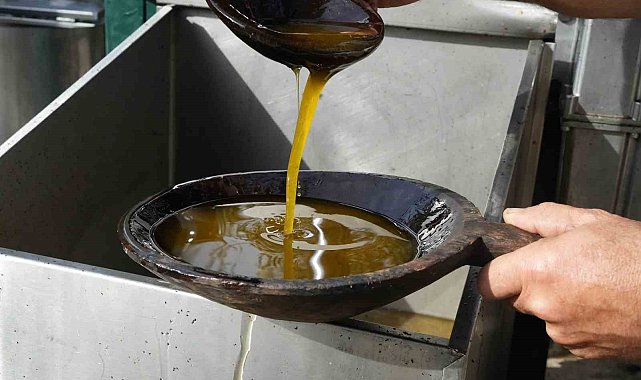 Zeytinyağında dededen kalma "taş baskı" yöntemini yaşatıyor