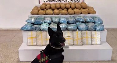 63 ilde 1 tonu aşkın uyuşturucu ele geçirildi