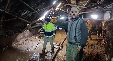 Ahırın çatısı yağan karın ağırlığını taşıyamadı, hayvanlar komşuların yardımıyla kurtarıldı