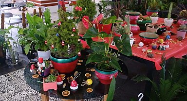 ANFA Bitki Evleri'nde yeni yılın çiçekleri sunuldu