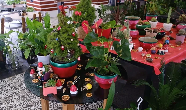 ANFA Bitki Evleri'nde yeni yılın çiçekleri sunuldu