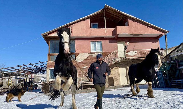 Ankara'da sıra dışı yaşam: Onlarca hayvanla ortak hayat kurdu
