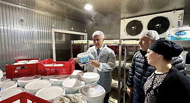 Antakya'da süt ürünleri üreten firma incelendi