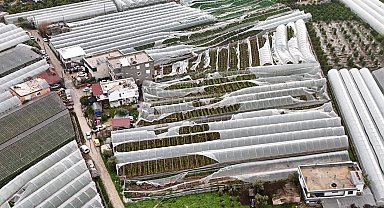 Antalya Büyükşehir Belediyesi afetin izlerini silmek için sahada