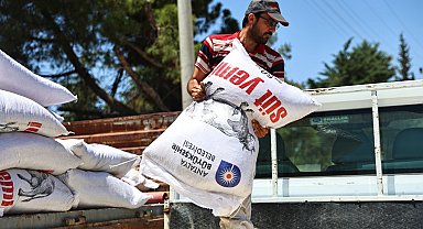 Antalya'da hayvancılığa 2025 yılında büyük katkı