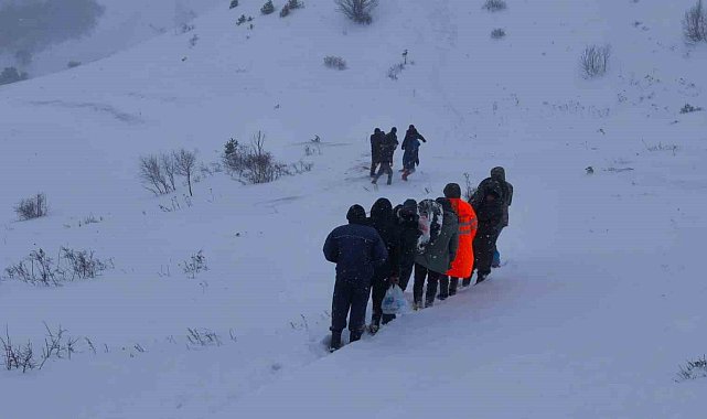 Artvin'de çığ altında kalan çobanları arama çalışmaları sürüyor