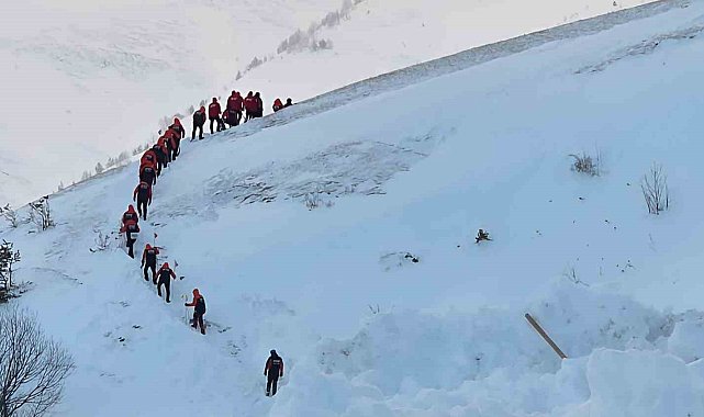Artvin'de çığ faciasındaki kayıp çoban için arama çalışmaları üçüncü gününde yeniden başladı