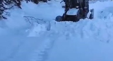 Artvin'de kar nedeniyle 130 köy yolunda ulaşım sağlanamıyor