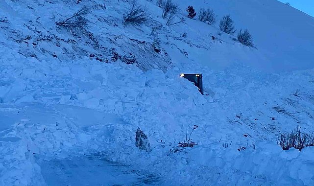 Artvin'de yeni çığ riski çalışmaları durdurdu
