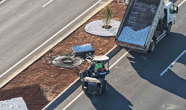 Aydın Büyükşehir Belediyesi'nden Acarlar-Şehir Hastanesi yolunda peyzaj düzenlemesi