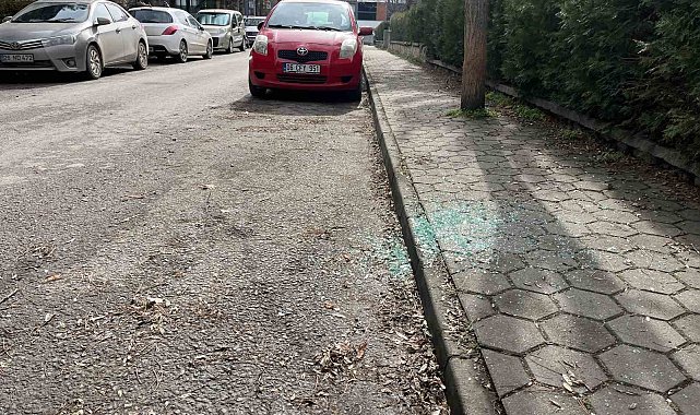 Aynı sokak üzerinden beş aracın camlarını kırıp hırsızlık yaptılar