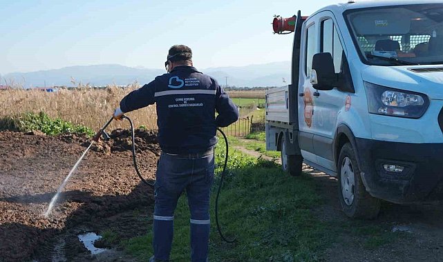 Balıkesir Büyükşehir'in haşerelere karşı mücadelesi sürüyor