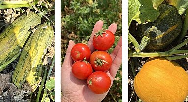 Balıkesir'de 'ümit var' sayısı 84'e yükseldi