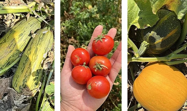 Balıkesir'de 'ümit var' sayısı 84'e yükseldi