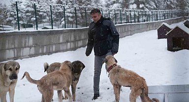 Battalgazi'de Malatya'nın ikinci hayvan barınağı hizmete başladı