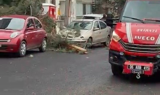 Beypazarı'nda fırtına ağaçları devirdi