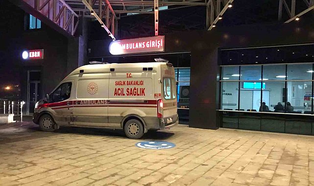 Bilecik'te 21 yaşındaki genç araçta ölü bulundu