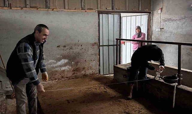 Bilecik'te büyükbaş hayvancılık işletmelerinde kapasite kontrolleri