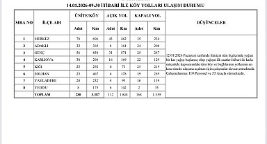 Bingöl'de karla mücadele sürüyor: 168 köy yolu kapalı