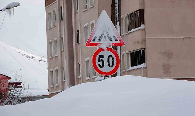 Bitlis kara gömüldü: 294 köy yolu ulaşıma kapandı