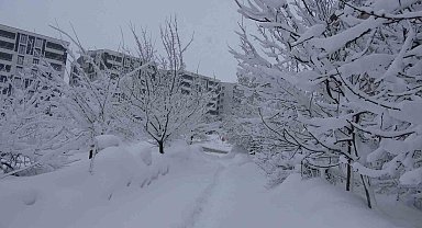 Bitlis'te kar esareti, 229 köy yolu ulaşıma kapalı