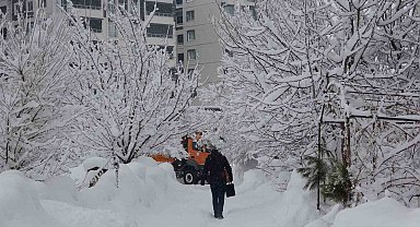 Bitlis'te kar yağışı yeniden etkili oldu