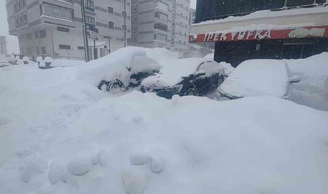 Bitlis'te kuvvetli kar, fırtına ve çığ tehlikesi uyarısı