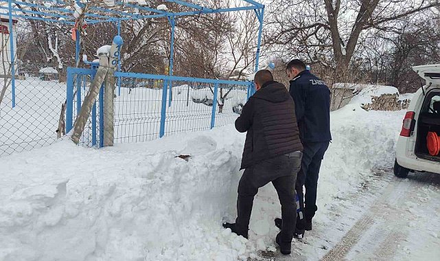 Bünyan'da sokak hayvanlarına mama desteği