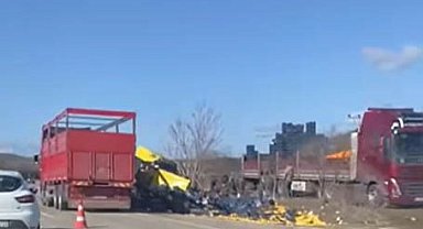 Burdur'da limon yükü tır şarampole devrildi