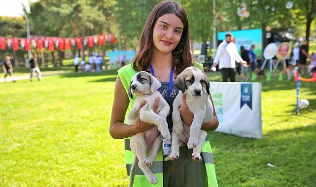 Bursa Büyükşehir Belediyesi patili dostların yanında
