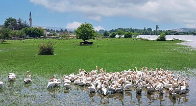 Bursa İnegöl Hamzabey'de doğa ile tarih buluşuyor